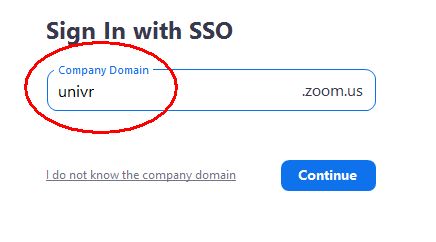 inserimento del company domain: univr
