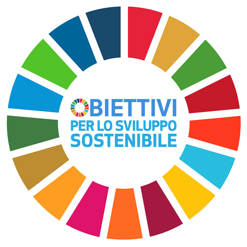 17 obiettivi per lo sviluppo sostenibile