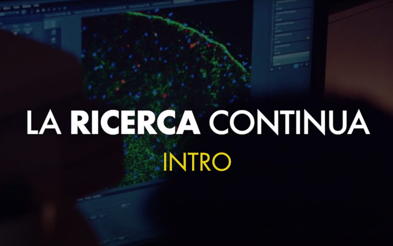 La ricerca continua - Video introduttivo