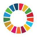 SDG logo