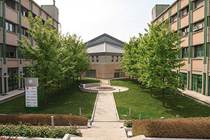 Area di Scienze e Ingegneria