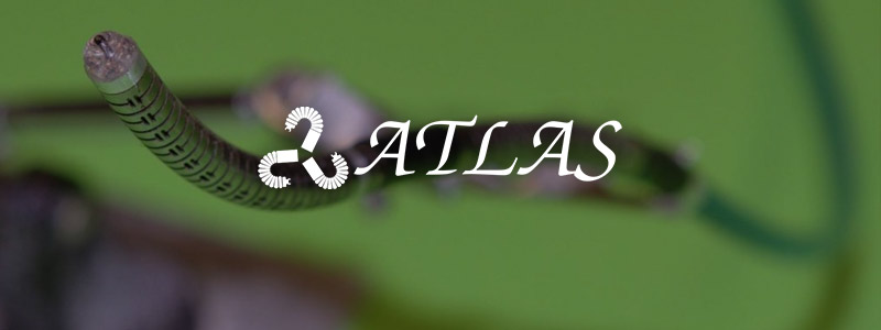 Atlas
